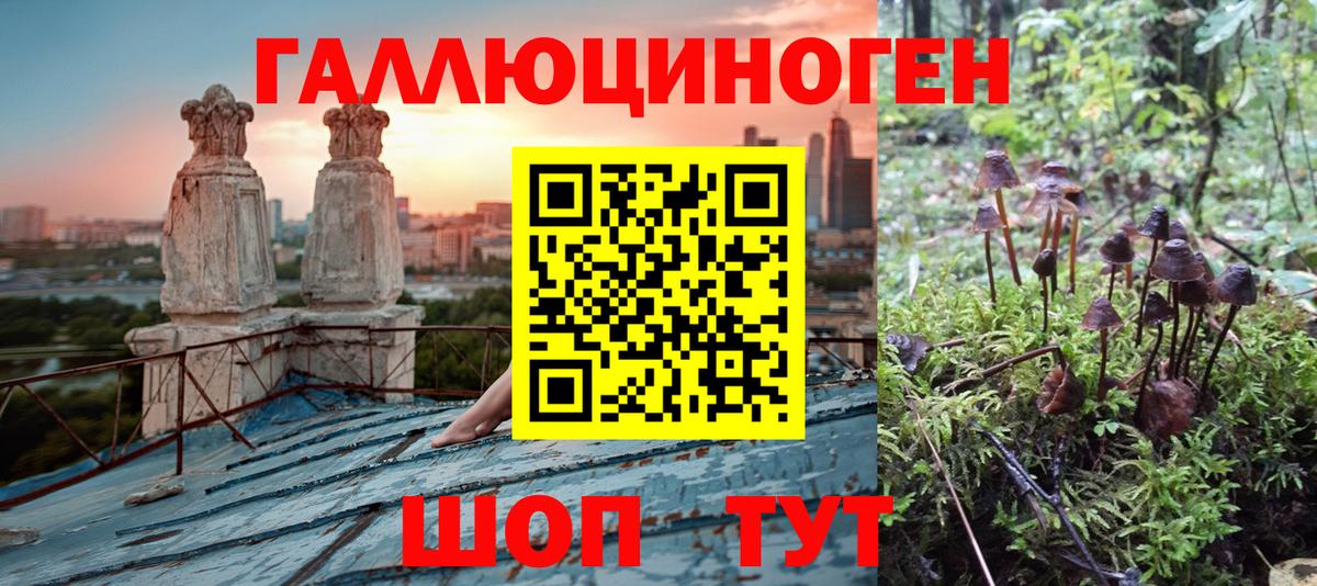 Псилоцибиновые грибы GOLDEN TEACHER  Вход с VPN  Саранск 