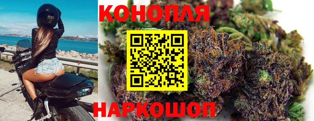 Марихуана сатива Саранск